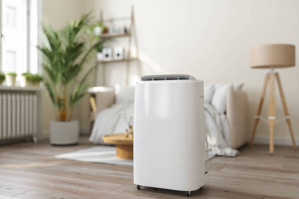 Best Furnace Cleaning in Ddanelle, AR